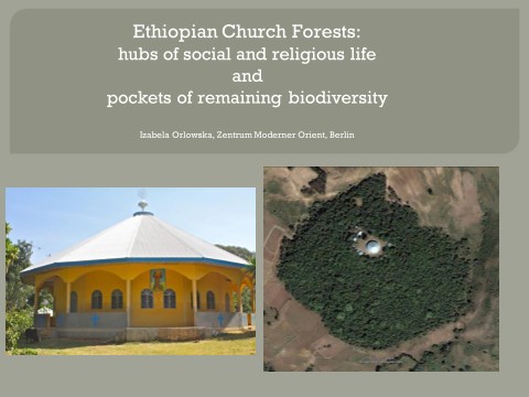 Ethiopian Orthodox church and an aerial photograph of a church surrounded by trees