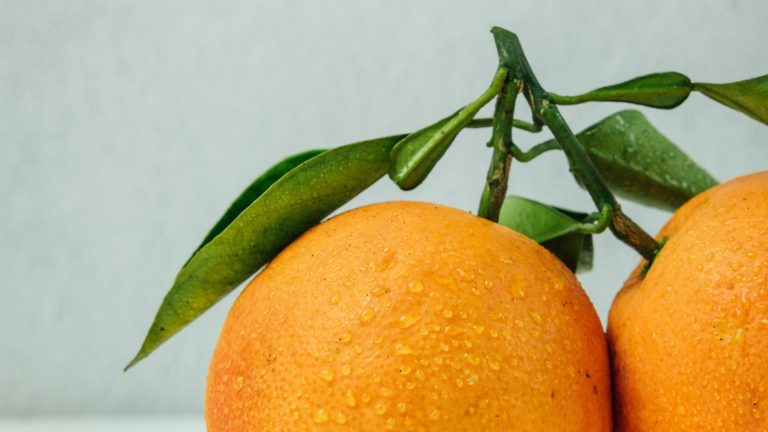 Blog banners. January