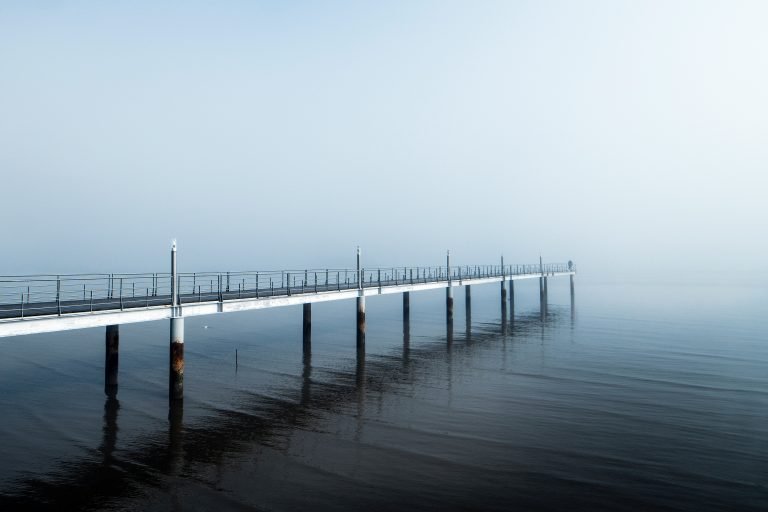 Bruno mira D 3ue8npTYs unsplash