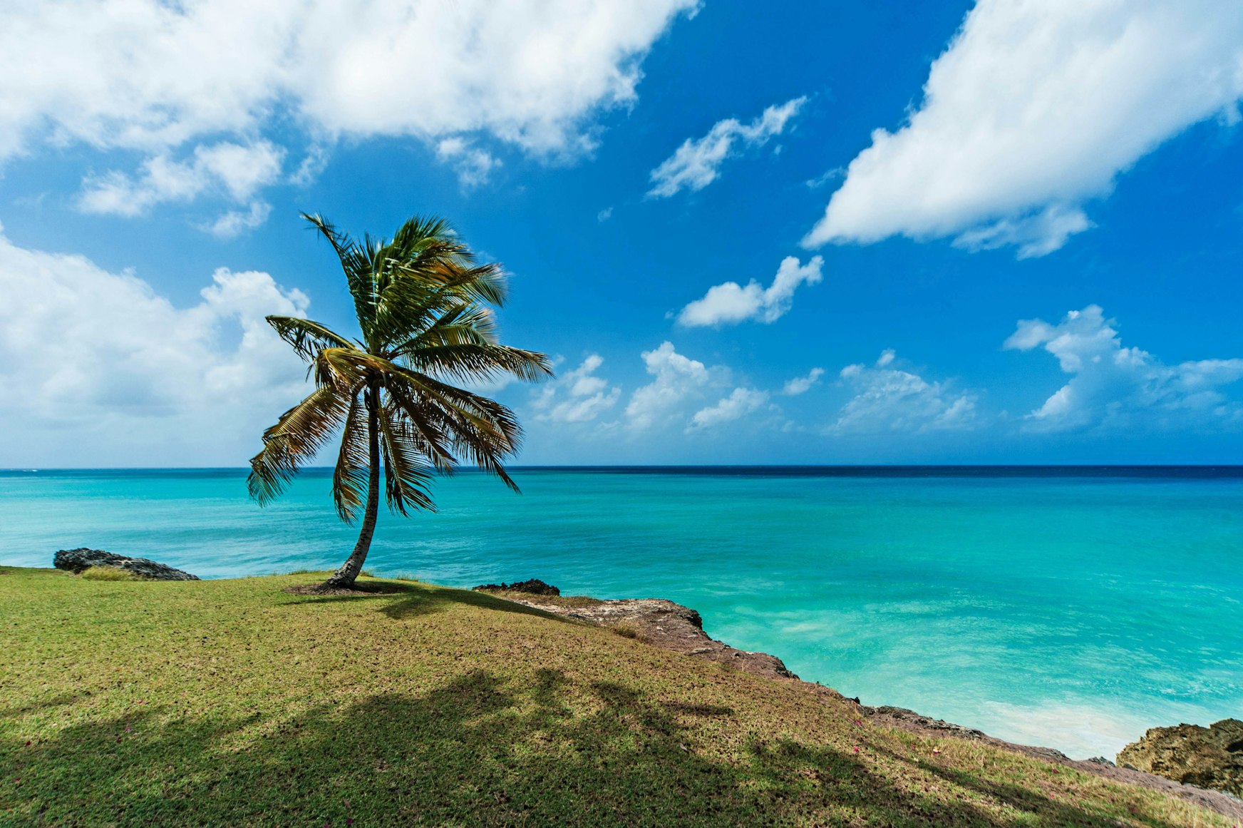 View of Barbados