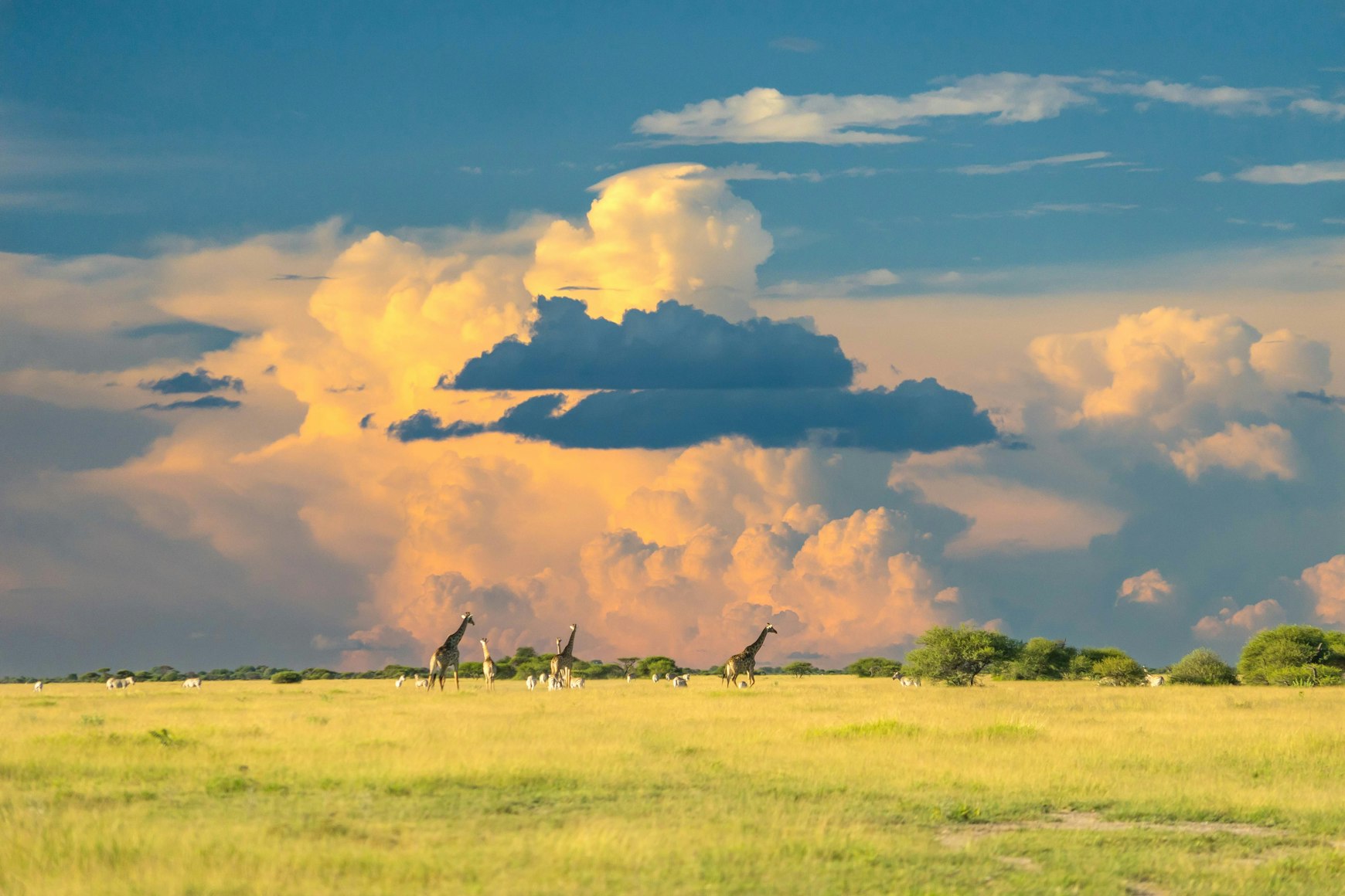 View of Botswana