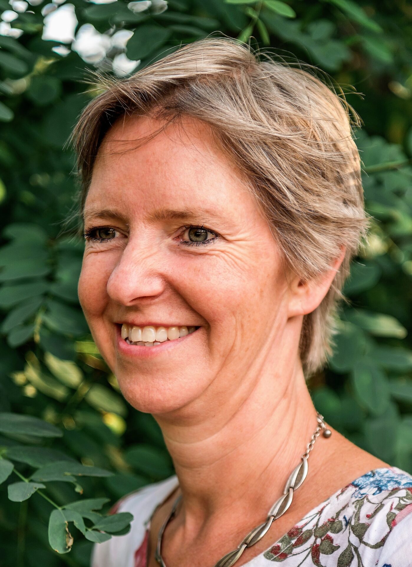 Cg profil