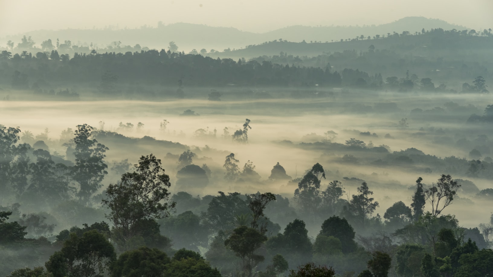 View of Cameroon