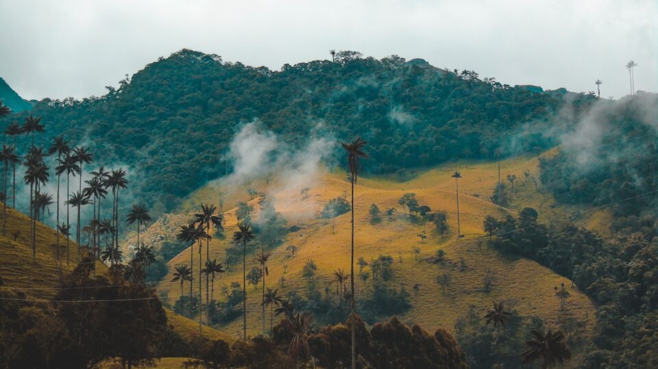 View of Colombia
