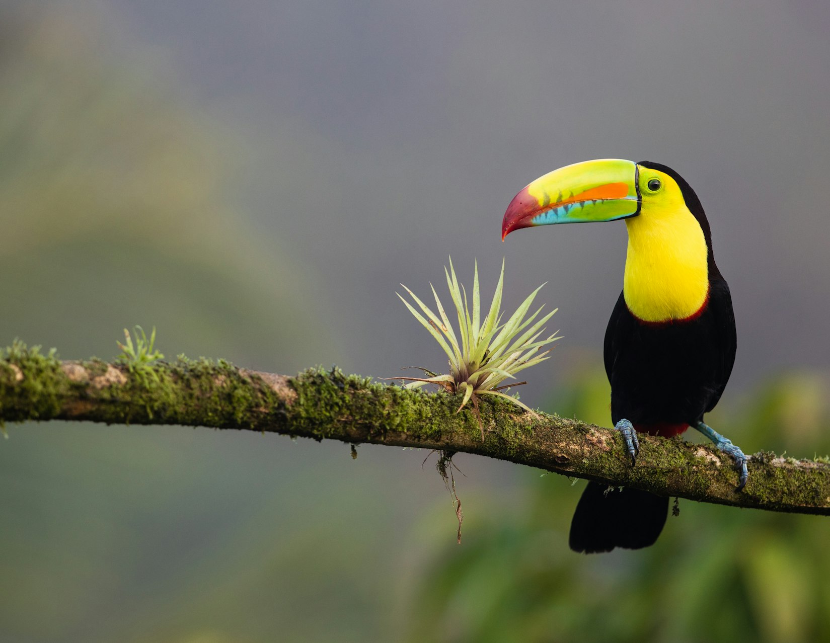 View of Costa Rica