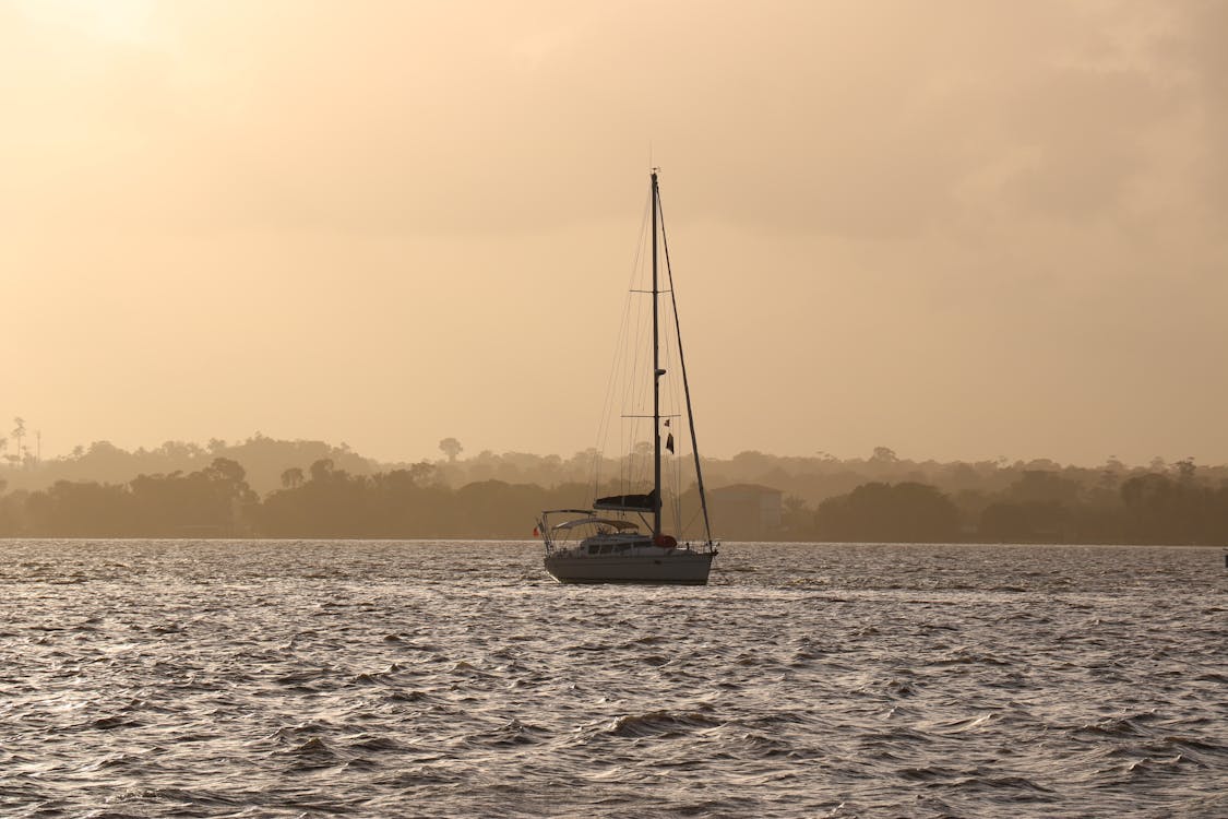 View of French Guiana