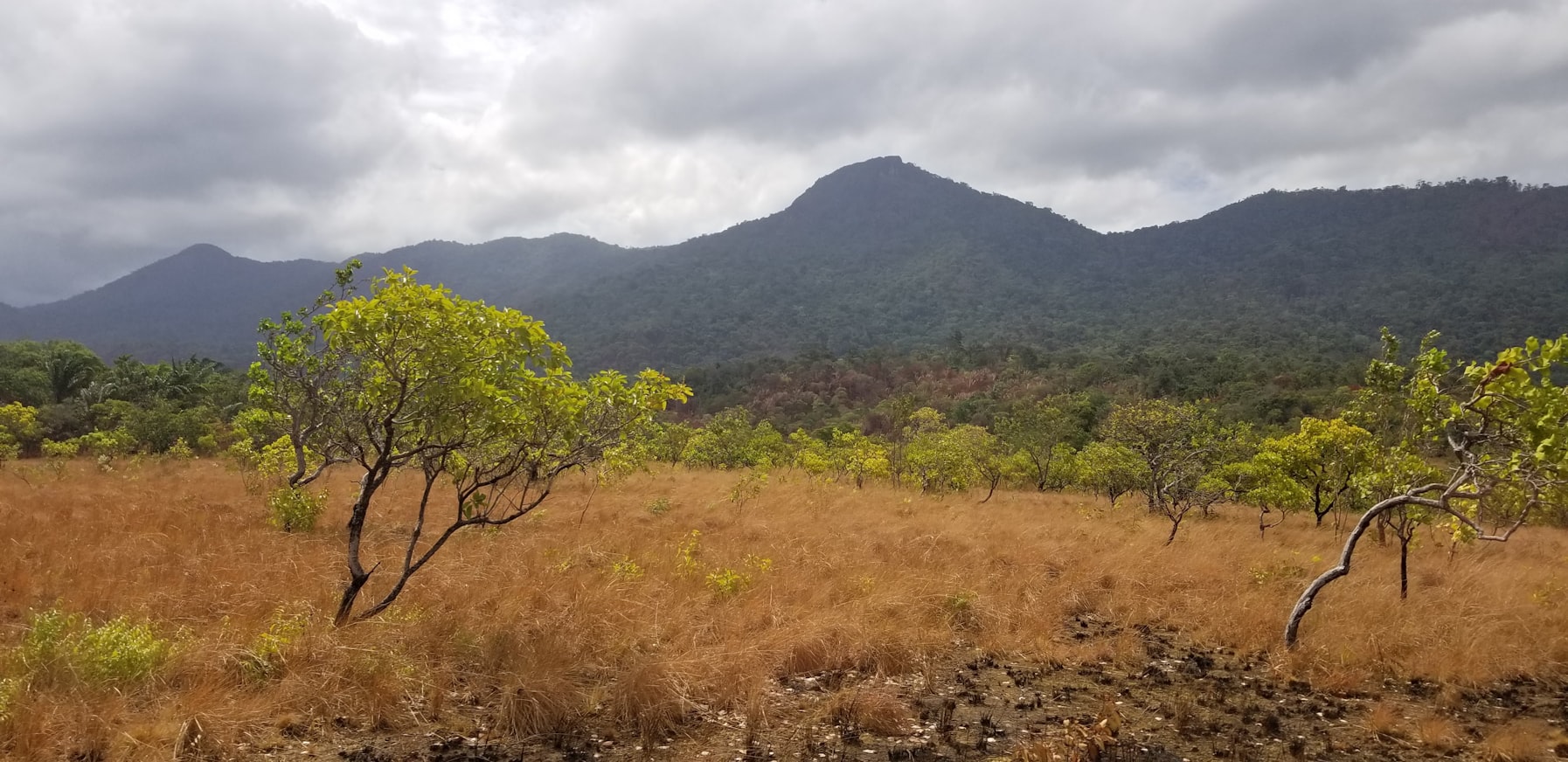 View of Guyana
