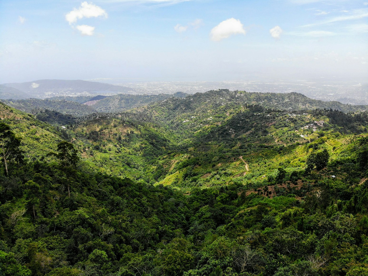 View of Jamaica