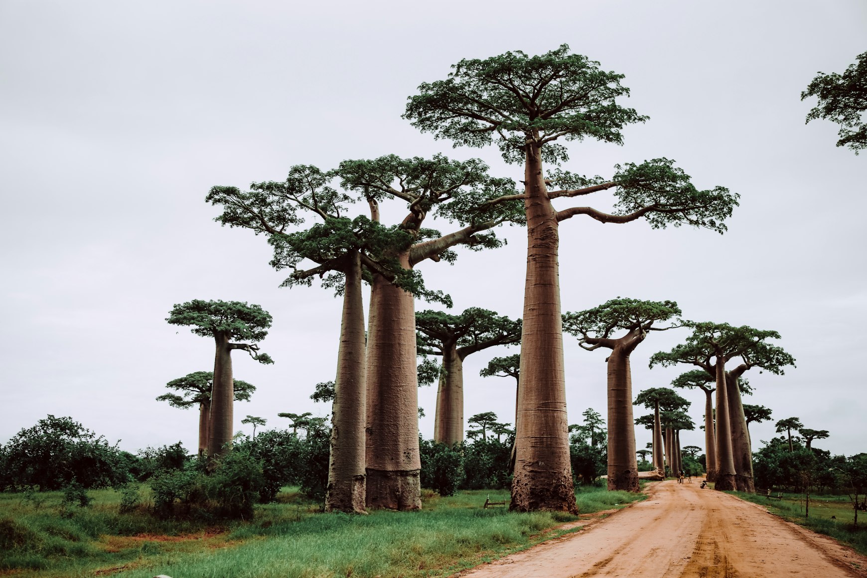 View of Madagascar