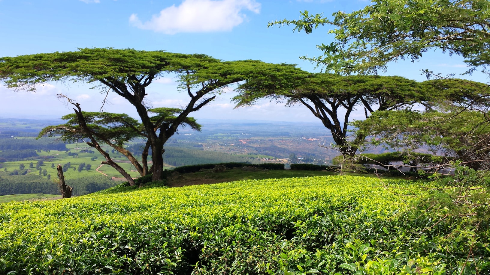 View of Malawi