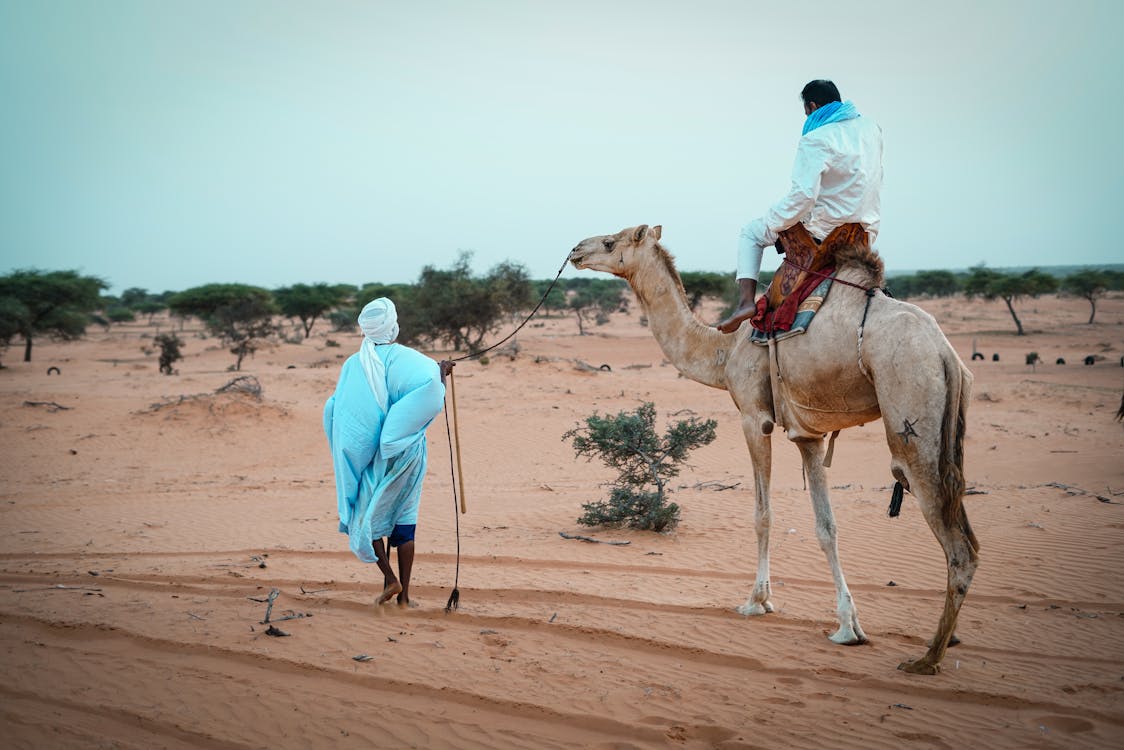 View of Mauritania