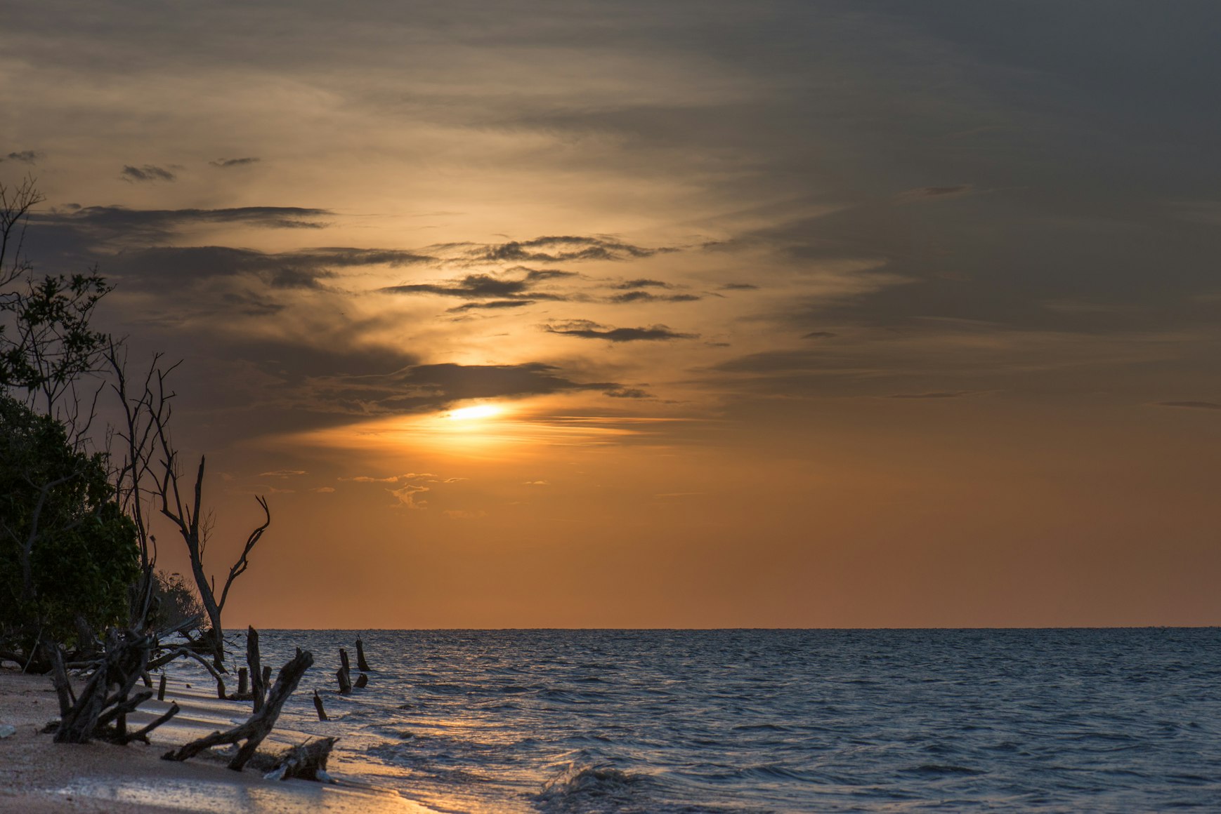 View of Suriname