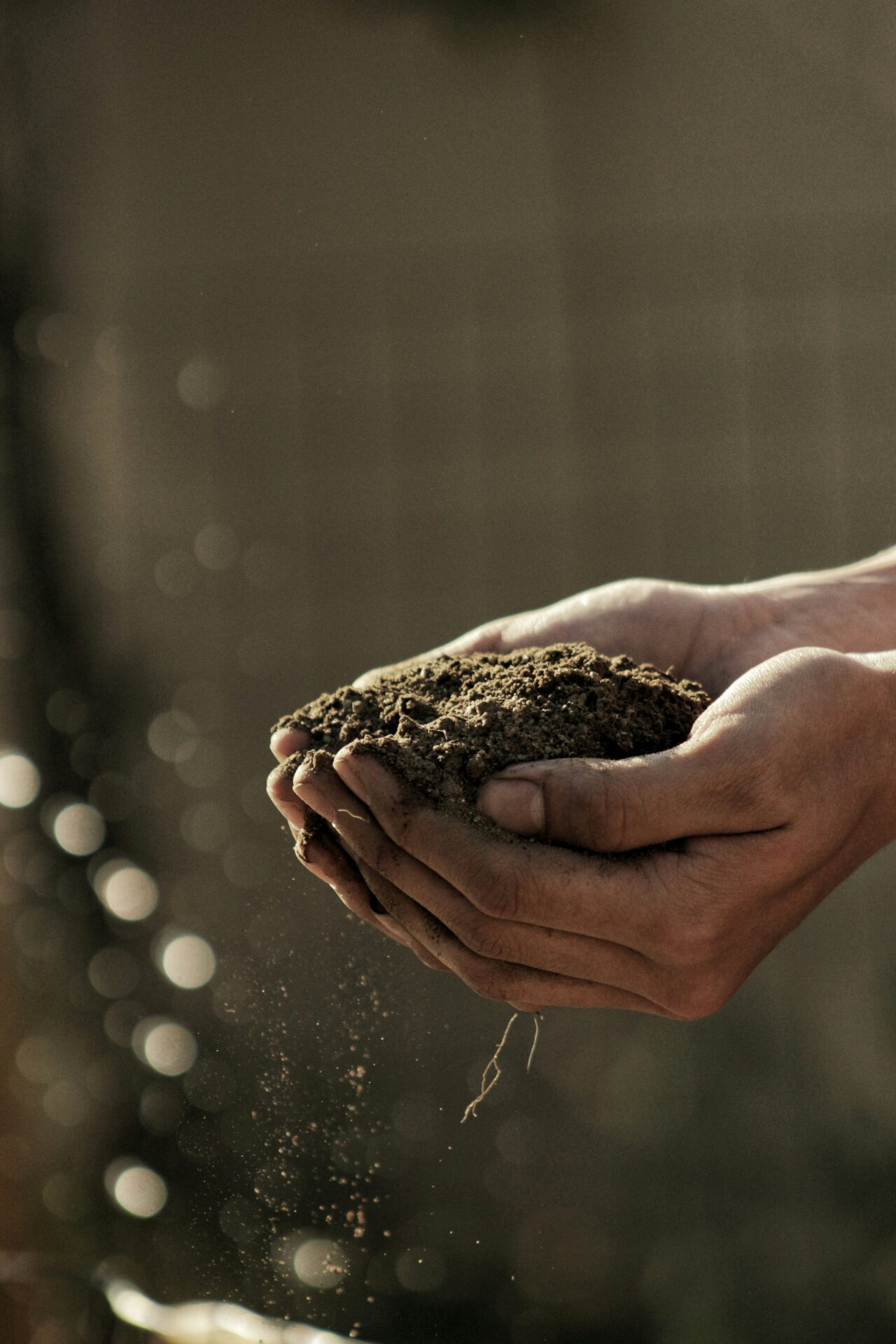 Handful of earth