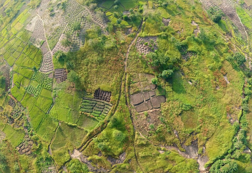 View of Guinea