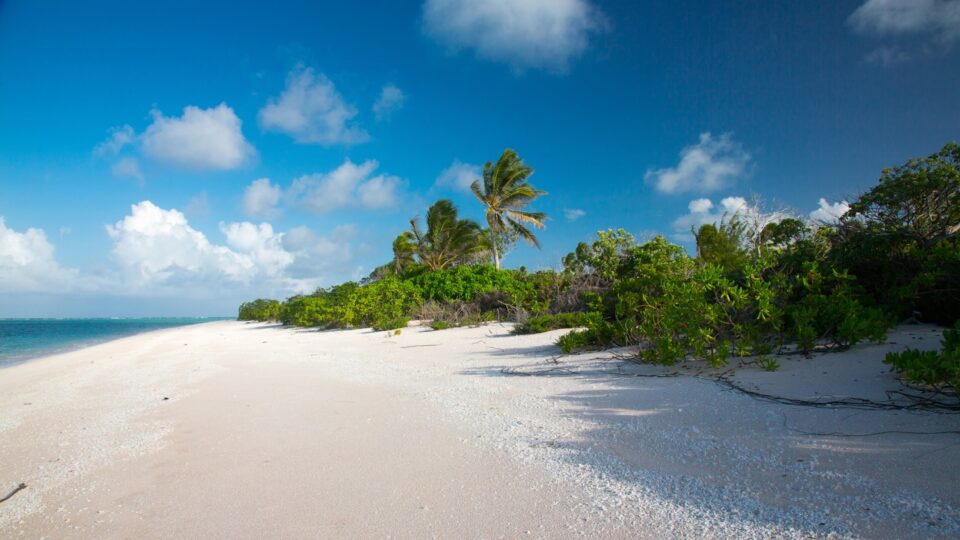 View of Marshall Islands