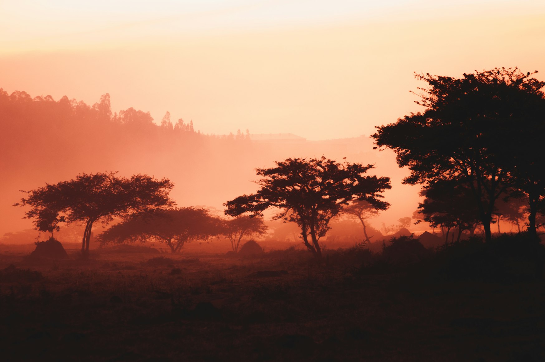 View of Rwanda