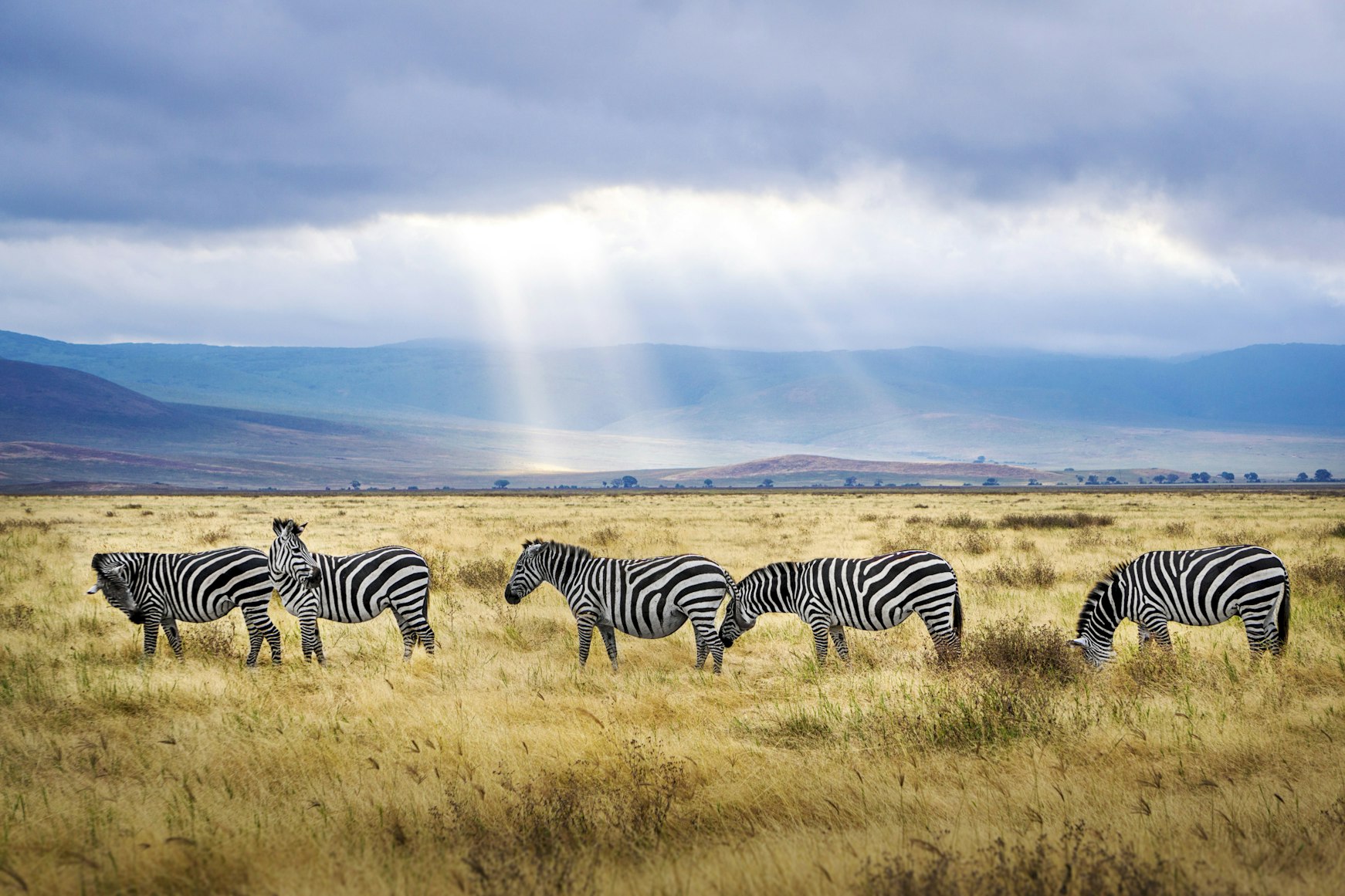 View of Tanzania