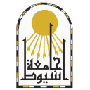 Www.aun.edu.eg Logo