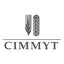 Www.cimmyt.org/ logo