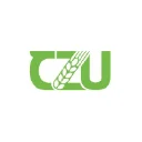 Www.czu.cz logo