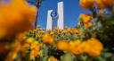 Www.fullerton.edu Logo