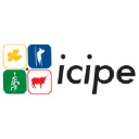 Www.icipe.org/ logo